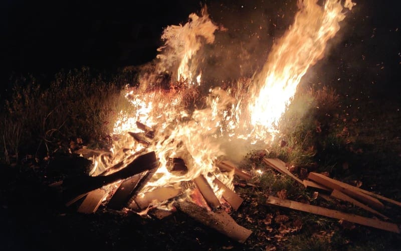 Twee Leeuwtjes in Alicante: het runnen van een B&B in Pinoso (108)