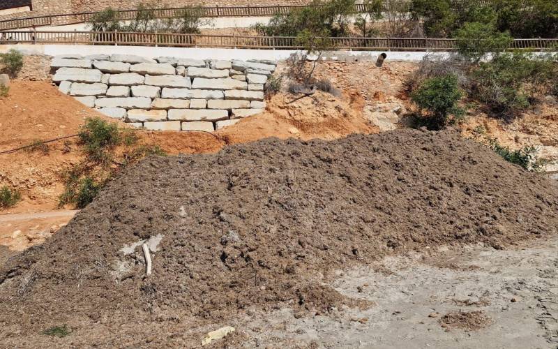 De stranden van Orihuela zijn bezaaid met zeewier