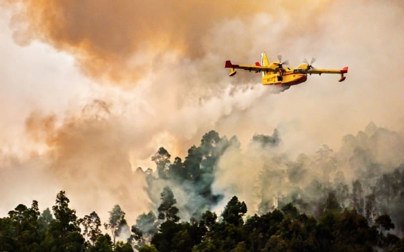 Ondanks aanhoudende droogte 60 procent minder bosbranden tot nu toe in 2024