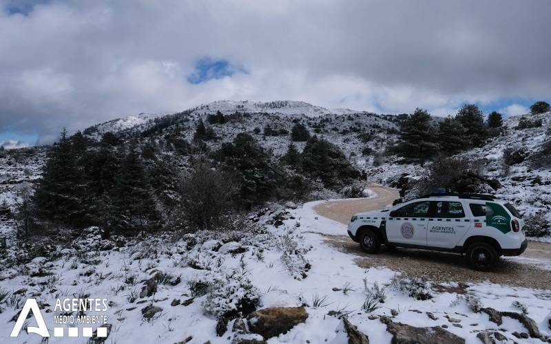 Eerste sneeuwval transformeert het binnenland van de Costa del Sol