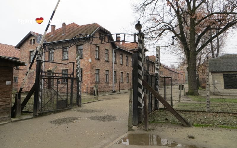 Spanje waarschuwt voor toename van haatzaaiende uitlatingen op 80ste herdenking bevrijding Auschwitz