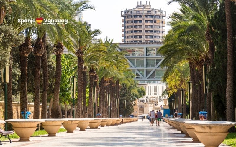 Benidorm krijgt 200 nieuwe bomen voor meer schaduw en groen