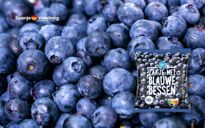 Hepatitis A-risico diepvries blauwe bessen van AH, mogelijk ook in Spanje verkrijgbaar