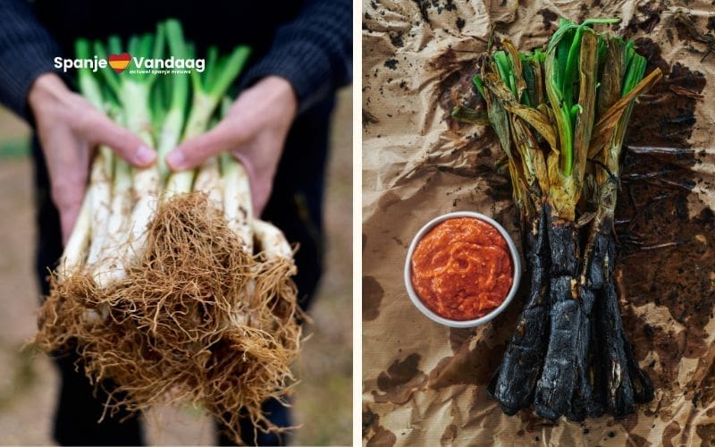 In februari is het weer tijd voor de ‘calçots’ in Catalonië