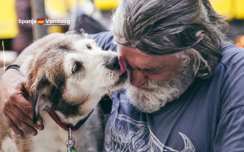 Gratis dierenzorg voor huisdieren van kwetsbare personen in Spanje