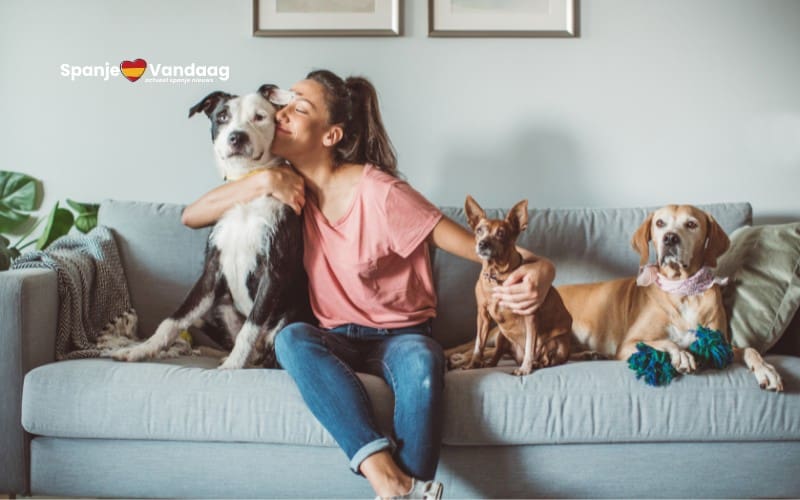 Discussie over hondenbelasting in Spanje