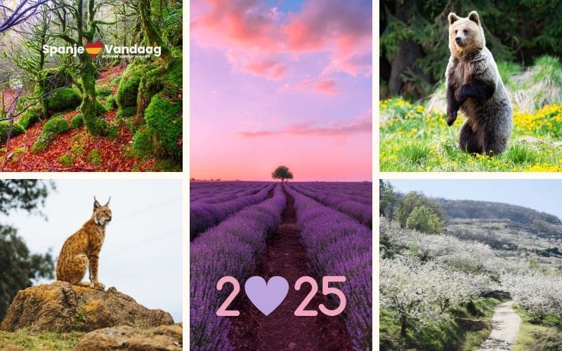 Twaalf unieke bestemmingen voor elke maand van 2025 in Spanje