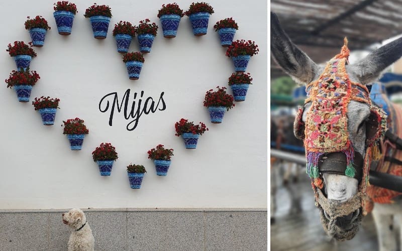 CamperVerhaal: Vlaams koppel op reis door Spanje (42)