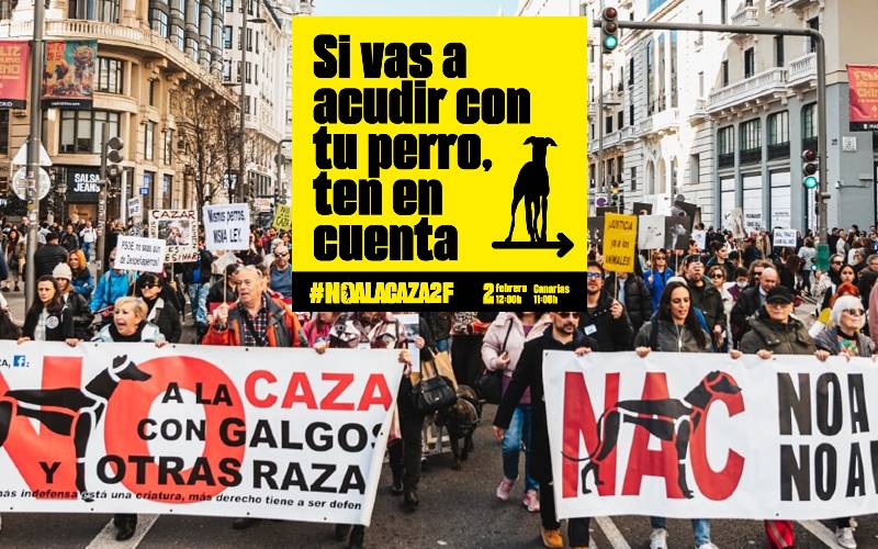 Protesten in meer dan 70 Europese steden voor bescherming van Spaanse jachthonden