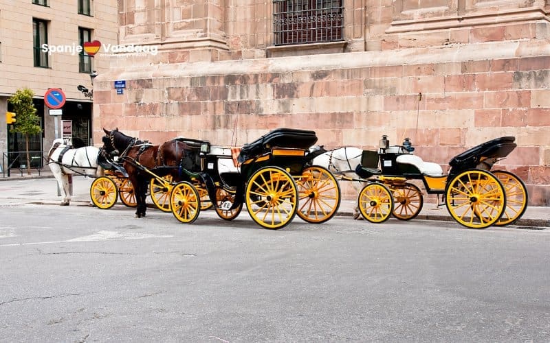 Málaga neemt afscheid van paardenkoetsen om dierenwelzijn te bevorderen