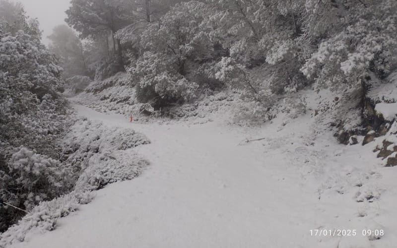 Sneeuw verrast de Costa Blanca met chaos in de provincie Alicante