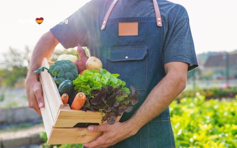 Spanje leidt biologische landbouw in de EU