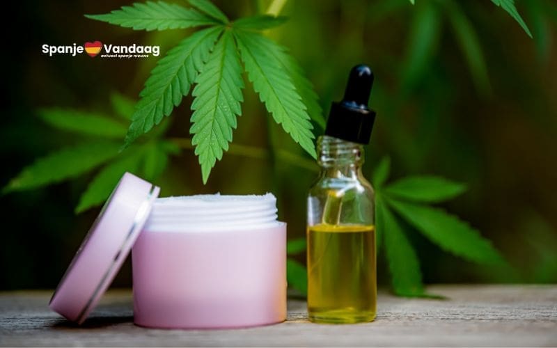 Spanje zet stappen richting Europese goedkeuring van medicinale cannabis