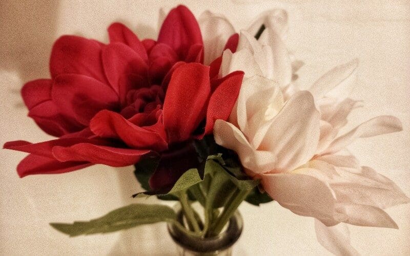 SpanjeVerhaal: Ons B&B-avontuur in de provincie Alicante (64)