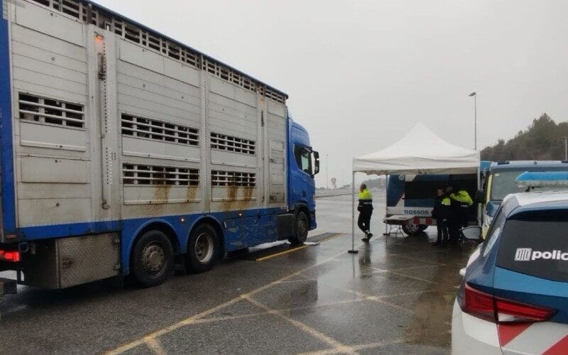 Vrachtwagenchauffeur met kalveren uit België test positief op cocaïne bij controle in Girona