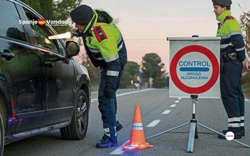 Elke dag meer dan 200 Spaanse bestuurders betrapt met alcohol op achter het stuur