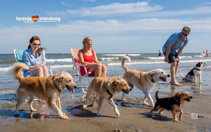 Badplaats Salou opent nieuw hondenstrand voor baasjes en viervoeters