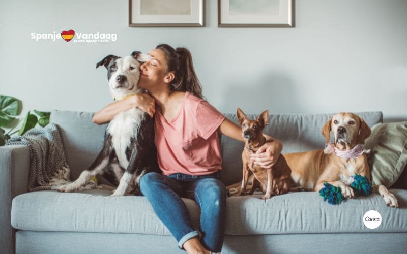 Meer huisdieren dan huishoudens op de Balearen eilanden