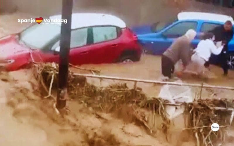 screenshot video / X