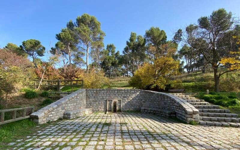 Jongen gebeten door slang tijdens verjaardagsfeestje in park in Madrid