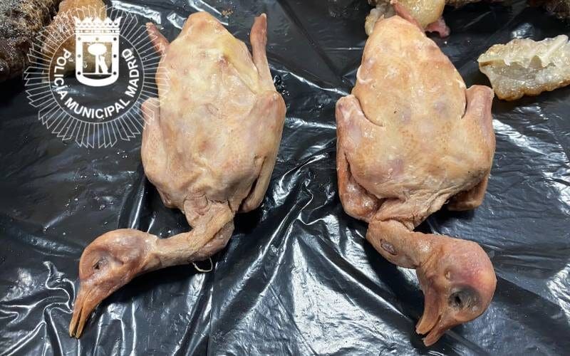 Chinees restaurant in Madrid serveert duivenvlees, maar is het eten daarvan gezond of gevaarlijk?