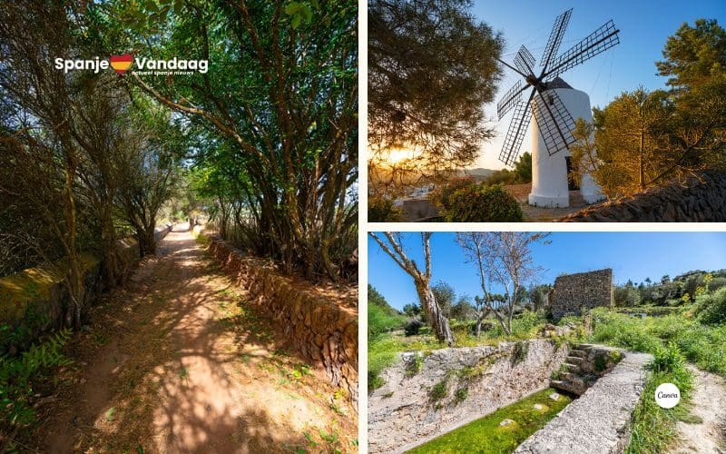 Ontdek de avontuurlijke wandelroute ‘Gran Ruta’ op Ibiza