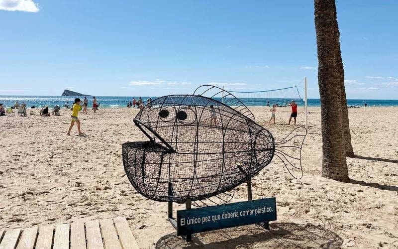 Vis die plastic ‘opeet’ op de stranden van Benidorm