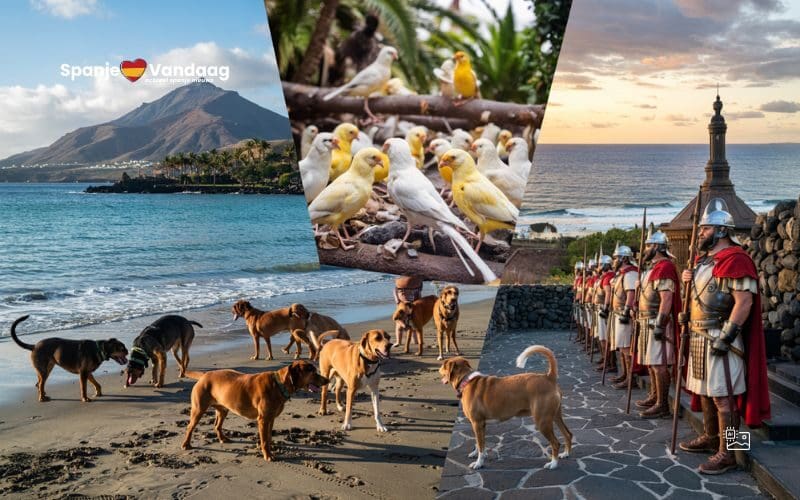 Een verrassende theorie over waarom de Canarische Eilanden zo heten