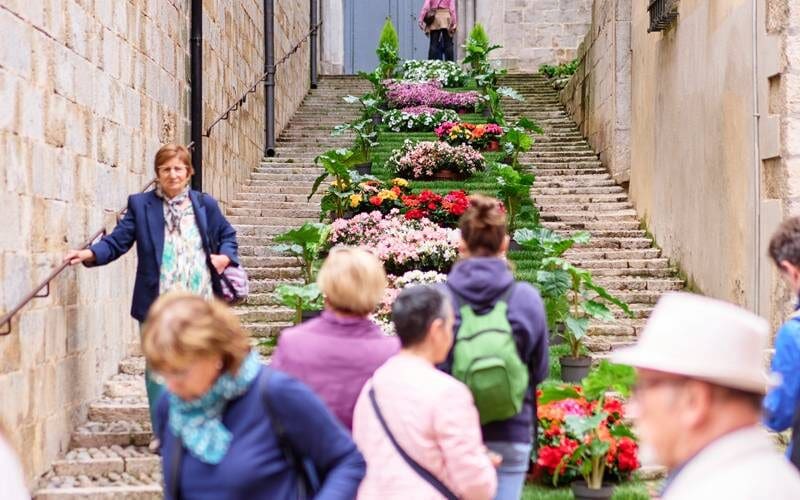Girona verandert opnieuw in een bloemenparadijs tijdens ‘Temps de Flors’