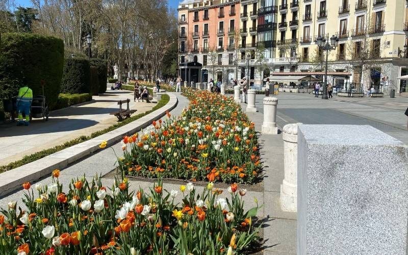 Prinses Amalia bezoekt 7000 tulpen die ze aan Madrid schonk als dank voor gastvrijheid