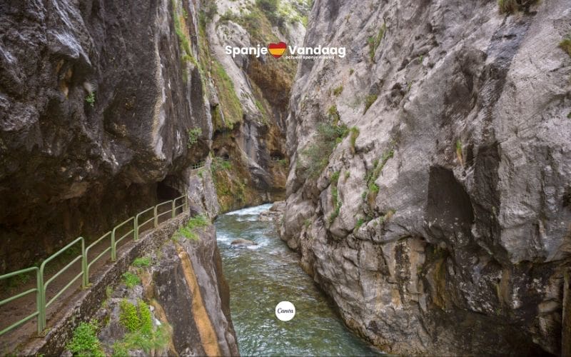 Toerist riskeert 200.000 euro boete na delen van video waarin hij steen gooit in natuurpark in Asturië