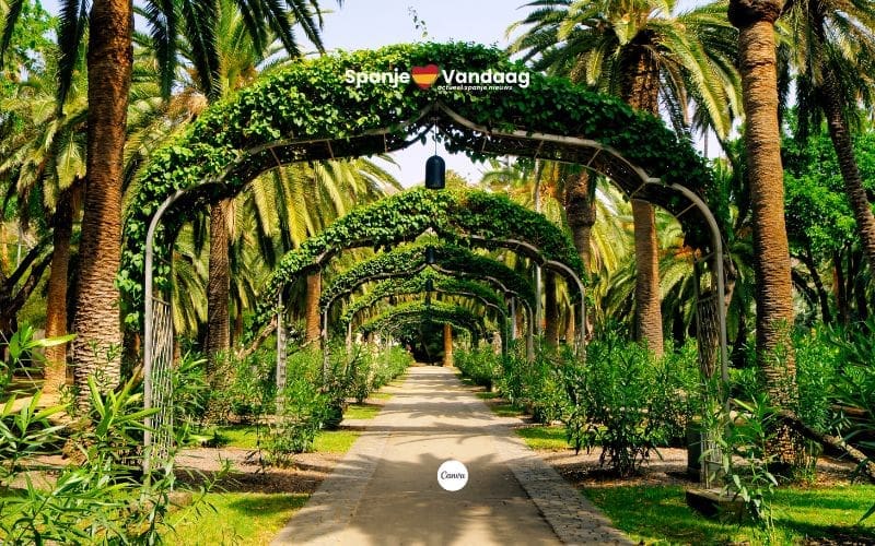 Santa Cruz de Tenerife krijgt een stadsbos met meer bomen en therapeutische tuinen