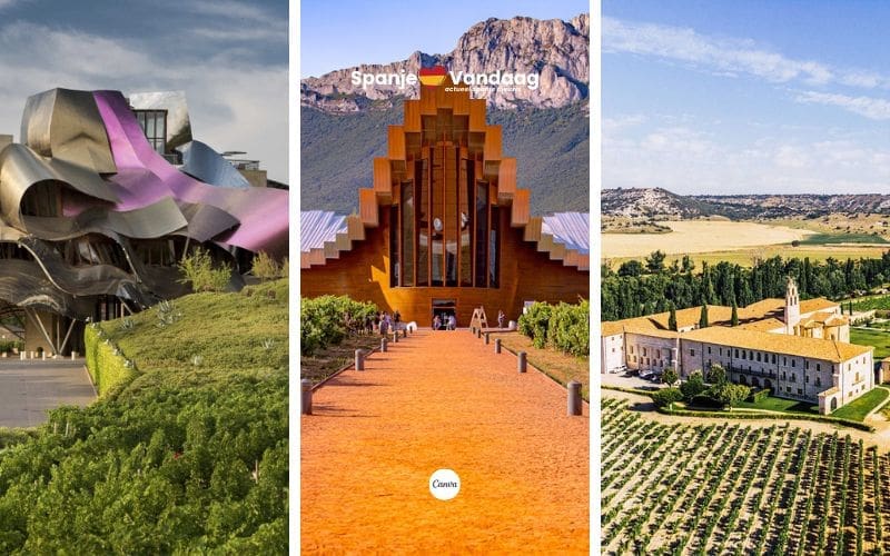 Leer de drie Spaanse wijnhuizen kennen die bij de tien beste ter wereld horen
