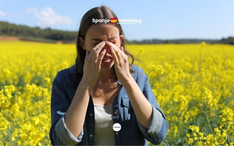 Zijn klimaat en vervuiling de boosdoeners dat meer mensen plots hooikoorts hebben in Spanje?