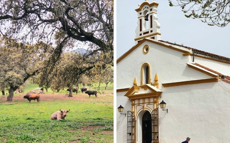 CamperVerhaal: Vlaams koppel op reis door Spanje (65)