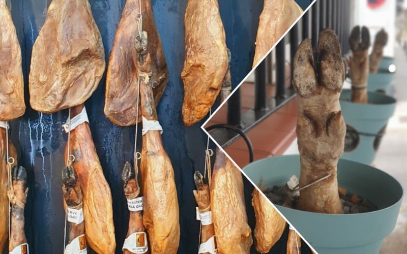 CamperVerhaal: Vlaams koppel op reis door Spanje (66)