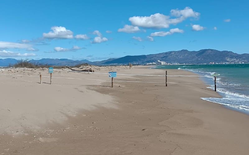 Middelste deel van Can Comas‑strand aan de Costa Brava gesloten vanwege de natuur