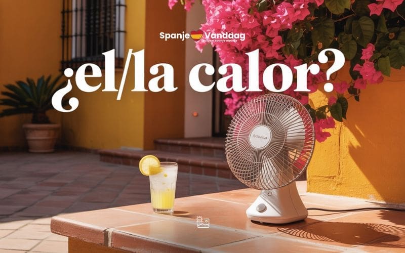 Voor de Spaanssprekende lezer: is het ‘El calor’ of ‘la calor’?