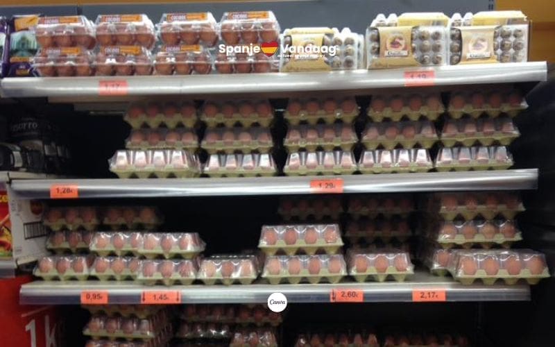 Mercadona haalt eieren uit de schappen na schandaal op ‘horror-kippenboerderij’ op Mallorca