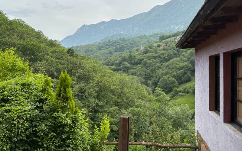 SpanjeVerhaal: Van Droom naar Ondernemen in Noordwest Spanje (13)