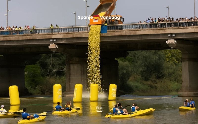 20.000 gele eendjes zorgen voor vrolijk spektakel in Zaragoza