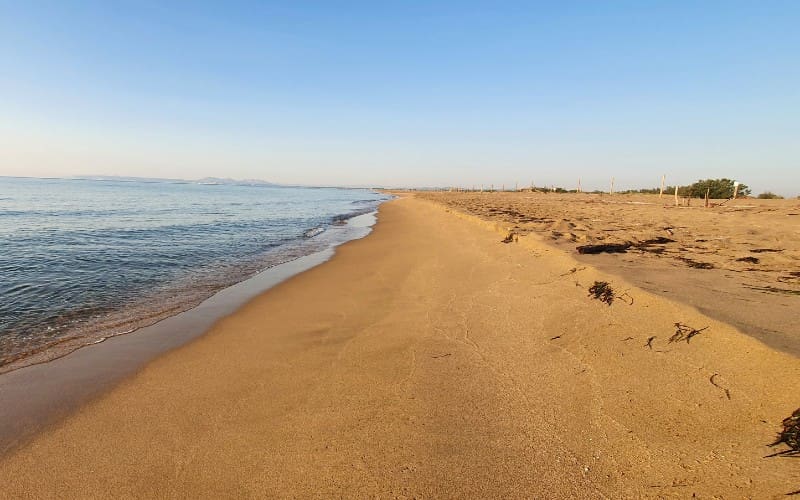 Eerste strand aan de Costa Brava bijna helemaal afgesloten voor publiek om de natuur te redden