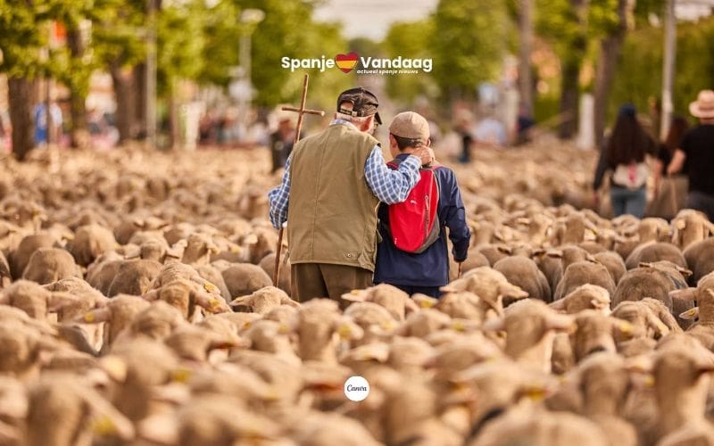 Eeuwenoude herdersroutes in Spanje nu als wandelroute te ontdekken