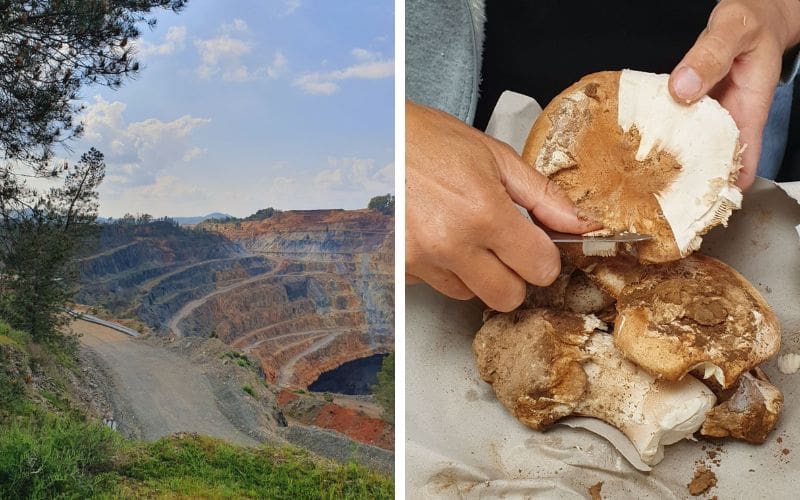 CamperVerhaal: Vlaams koppel op reis door Spanje (67)