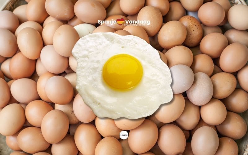 Spanjaarden eten 143 eieren per persoon per jaar ondanks hoge prijzen