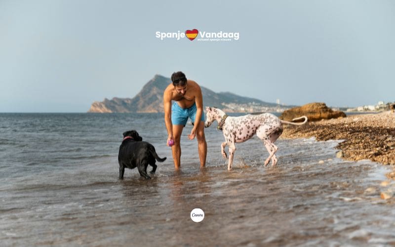 Deze stranden in Spanje zijn in 2025 officieel hondvriendelijk
