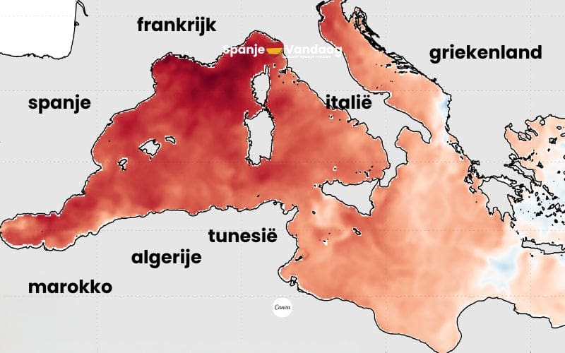 Recordtemperatuur bij Mallorca waar het zeewater 30,5 graden bereikte