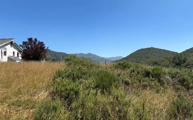 SpanjeVerhaal: Van Droom naar Ondernemen in Noordwest Spanje (18)