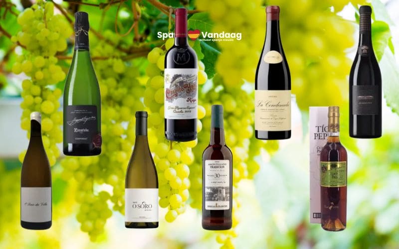 Deze acht Spaanse wijnen krijgen de hoogste score in de prestigieuze Guía Peñín 2026