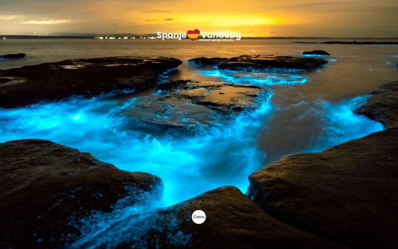 Drie Spaanse stranden waar de zee dit weekend magisch oplicht